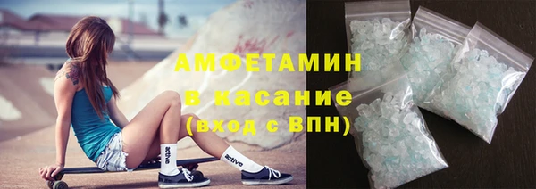 индика Богородск