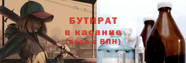 индика Богородск