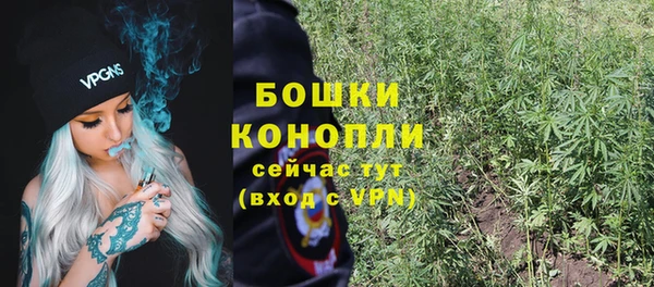 индика Богородск