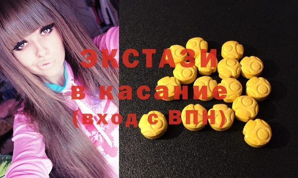 индика Богородск