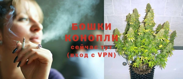 индика Богородск