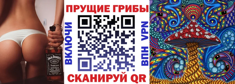 магазин  наркотиков  Боготол  Галлюциногенные грибы Psilocybine cubensis 